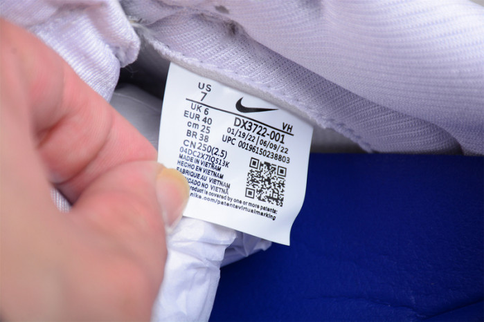 Nike Dunk Low Wolf Grey Pure Platinum DX3722-001