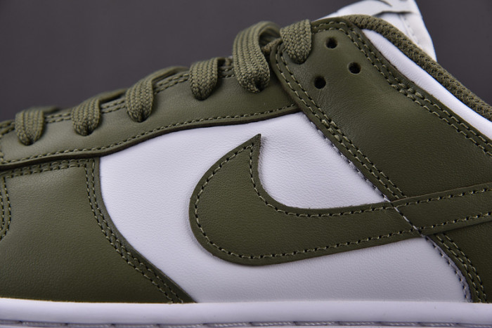 Nike Dunk Low Medium Olive (W) DD1503-120