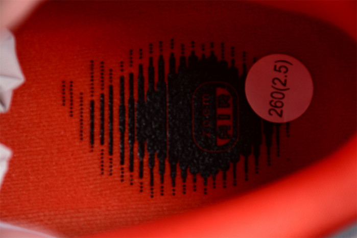 nike sb dunk low staple nyc pigeon 304292-011