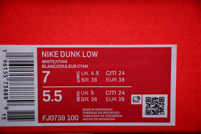 nike dunk low south beach fj0739-100