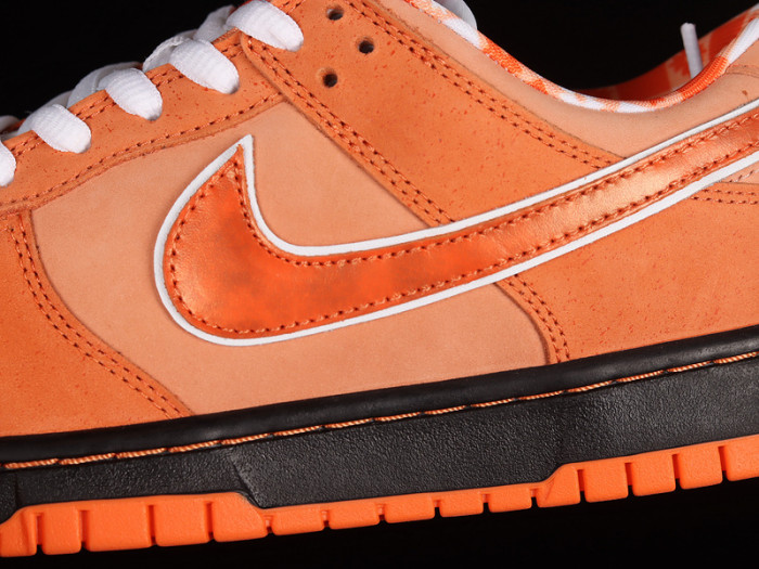 concepts x nike sb dunk low “orange lobster” fd8776-800