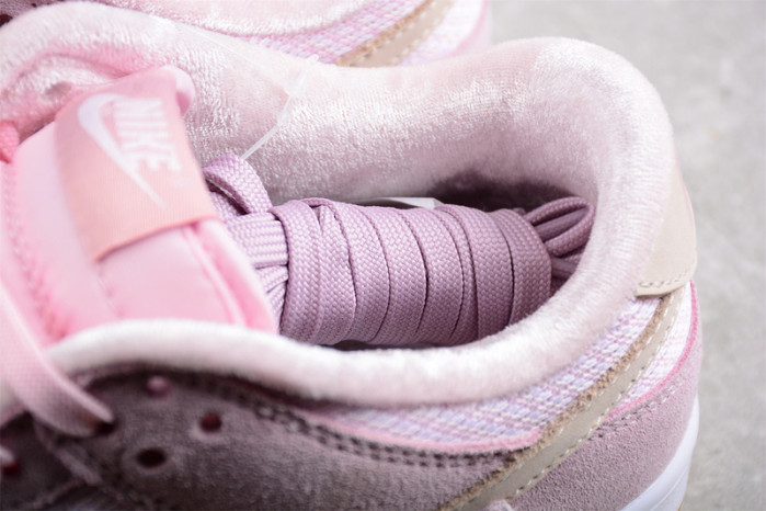 Nike Dunk Low Teddy Bear (W) DZ5318-640