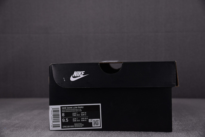 Nike Dunk Low Florida A&M University DR6188-800