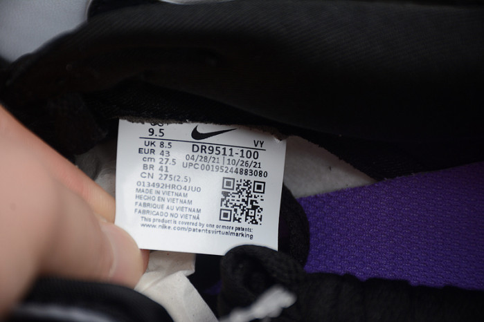 nike dunk low world champ dr9511-100