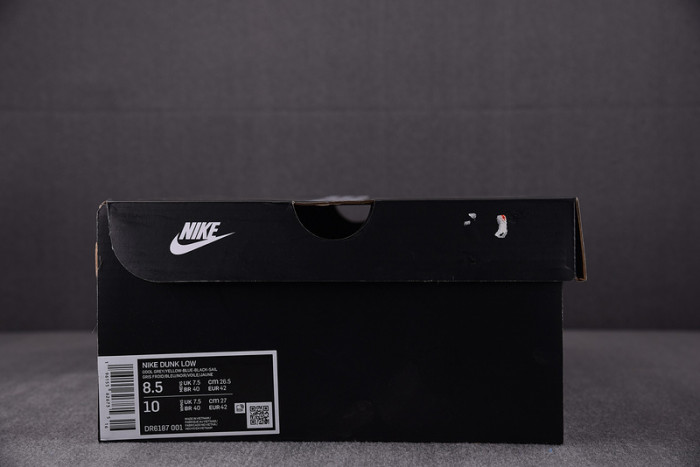 Nike Dunk Low North Carolina A&T DR6187-001